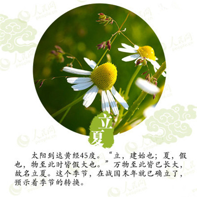 立夏來(lái)臨,液化氣儲(chǔ)罐廠家為你分享立夏如何養(yǎng)生