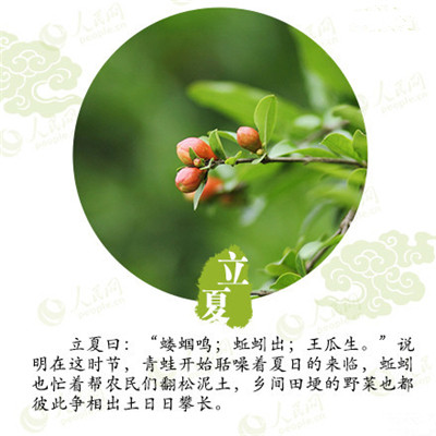 立夏來(lái)臨,液化氣儲(chǔ)罐廠家為你分享立夏如何養(yǎng)生