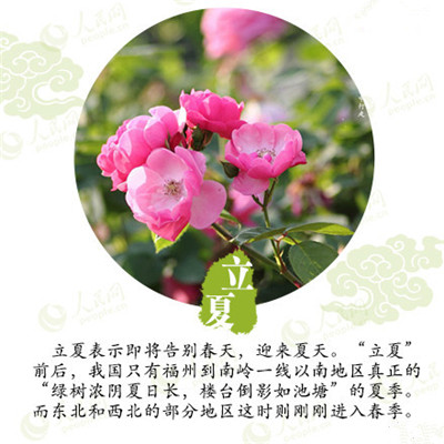 立夏來(lái)臨,液化氣儲(chǔ)罐廠家為你分享立夏如何養(yǎng)生