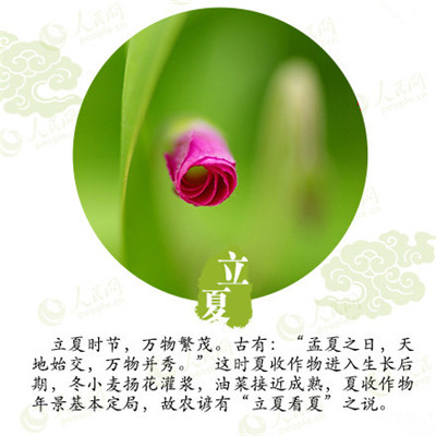 立夏來(lái)臨,液化氣儲(chǔ)罐廠家為你分享立夏如何養(yǎng)生